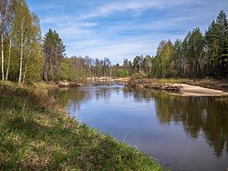 In Ustye-Kundyshsky zakaznik, a protected area of Russia in Medvedevsky District