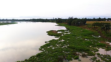 পখীতীৰ্থ,নগাঁও