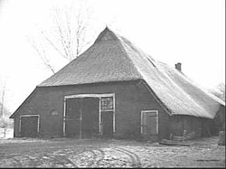 Farm in Nolde