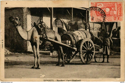 A postcard displaying a local water-seller in Ambouli