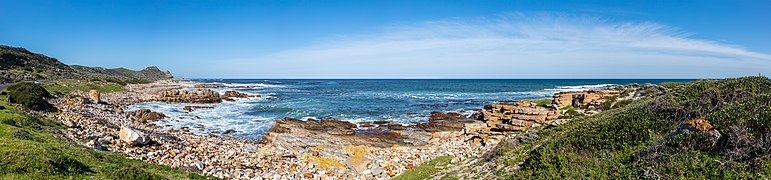 Côte près du cap.