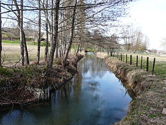 En amont du plan d'eau de Lanquais.