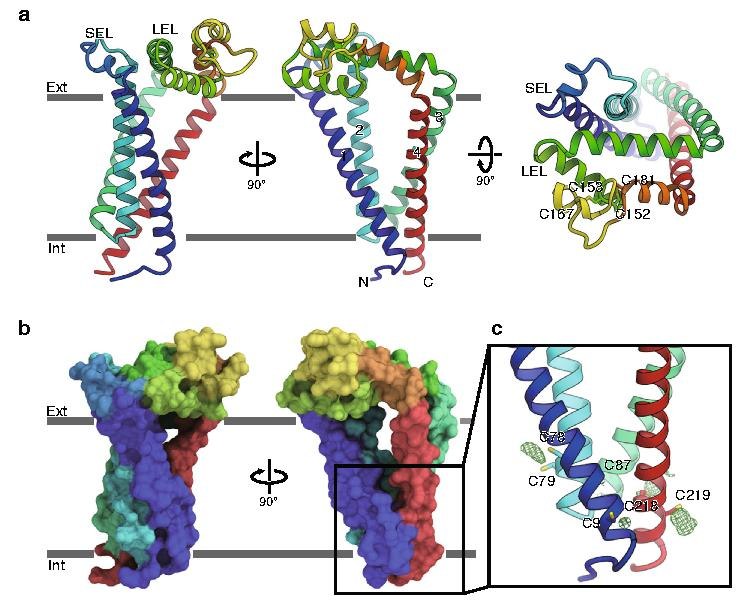 File:Crystal structure of human CD9.pdf