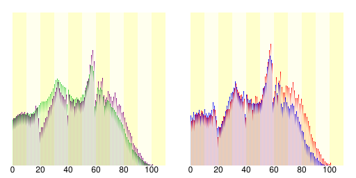 新居濱市人口分布圖