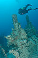 Diver near an old gun mount