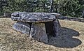 Dolmen de Cabaleiros