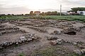 Excavations at ancient Gravisca, the port of Tarquinia.