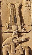 Kom Ombo, crocodile head