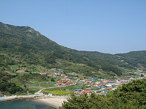 흑산도・사리