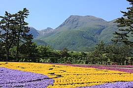 久住山とくじゅう花公園