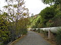 Los Gatos Creek Trail