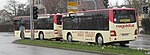 MAN Lion's City-buss med Göppel G10 Mk3 bussläp i Herrenberg i Baden-Württemberg