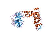 1p22: Structure of a beta-TrCP1-Skp1-beta-catenin complex: destruction motif binding and lysine specificity on the SCFbeta-TrCP1 ubiquitin ligase