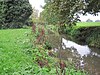 Pymme's Brook in Oak Hill Park