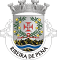 Brasão de Ribeira de Pena