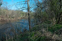 A view of the Rivanna at Shadwell