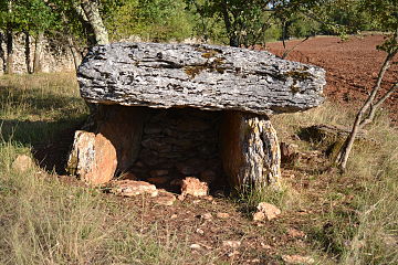 Dolmen de Combe-de-Saule n°3.