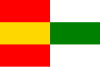 Flag of Vinařice