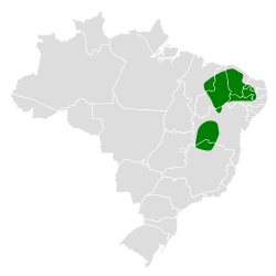 Distribución geográfica del trepatroncos bigotudo.