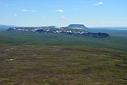 Landscape of the North Siberian Lowland.