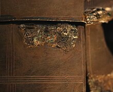 Close-up colour photograph of two joining fragments on dexter cheek guard which together complete a hinge. The fragment on the left was discovered in 1967 during re-excavations at Sutton Hoo.