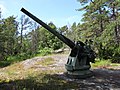 Imperial Russian Canet 75 mm/50 1892 naval gun in Kuivasaari. This gun has been rotated 180° so that the recoil springs are on top of the barrel to increase elevation.