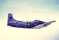 VMA-225 AD-4B Skyraider, 1956