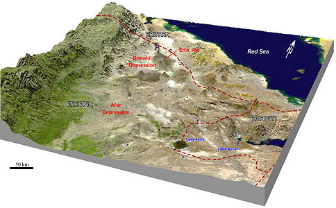 Vue en perspective de la dépression de l'Afar. La chaîne de l'Erta Ale est un fragment de dorsale océanique maintenant émergée[2]. Des ponts de lave empêchent pour l'heure la mer Rouge de s'engouffrer dans la dépression de Danakil. Les effets de la tectonique d'effondrement feront sauter ce barrage de lave. À la place, s'étendra un océan auquel les spécialistes ont déjà donné un nom, l'océan érythréen[3].