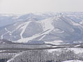 2008年3月8日 (土) 08:51時点における版のサムネイル