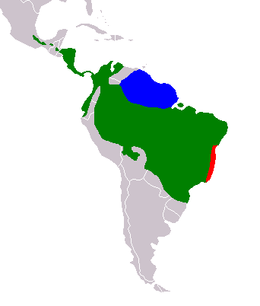 Distribución de Bradypus tridactylus (en azul).