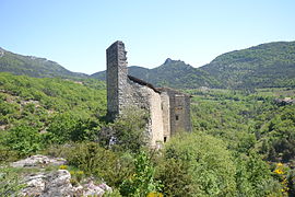 Ruines du Château de Gouvernet.