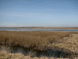 Cheyenne Bottom Marshes