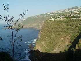 Santa Úrsula (Tenerife)