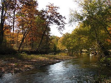 Cuyahoga River near Tannery Park, October 2012