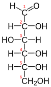 إسقاط فيشر of D-glucose