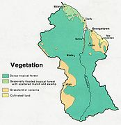 Рослинність станом на 1973 рік