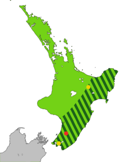 alt=      Distribución original.     Distribución en 1840.     Último avistamiento confirmado, en 1907.     Avistamientos no confirmados posteriores.