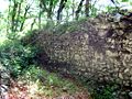 Walls of the lower castle