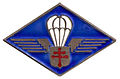 Insigne de la 1re compagnie de chasseurs parachutistes.