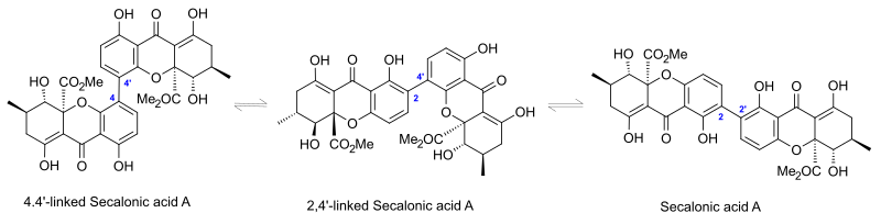 Isomerisation of 2,2’-, 2,4’-, and 4,4’-linked Secalonic acid A