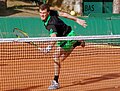 Jamie Murray, son frère, en 2011.