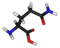 Chemical structure of the amino acid glutamine