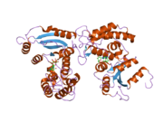 2o3r: Structural Basis for Formation and Hydrolysis of Calcium Messenger Cyclic ADP-ribose by Human CD38