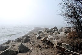 Point Pelee looking South, Apr 2008