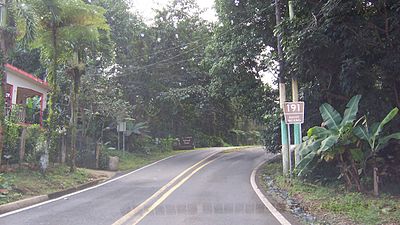 Forest Highway 191 in El Yunque National Forest
