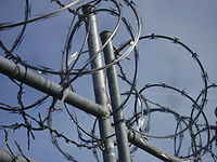 Long barb razor wire on a fence. At the bottom there is some barbed wire.