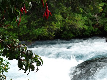 Orilla del Río Laja.