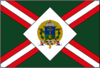 Flag of São José do Barreiro