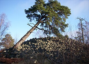 Skårbyröset (RAÄ-nummer: Salem 42:2)