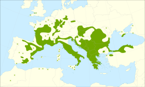 Description de l'image Sorbus domestica range.svg.